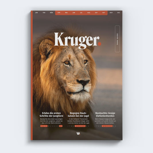 Kruger Park Guide